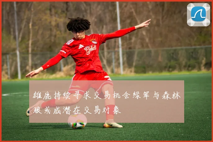 雄鹿持续寻求交易机会绿军与森林狼或成潜在交易对象